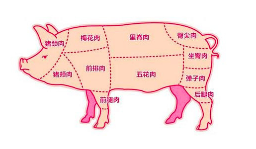 腰梅肉在猪的哪里图片