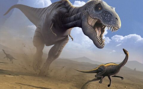 侏罗纪十大最强恐龙排名（侏罗纪世界恐龙战斗力排名）