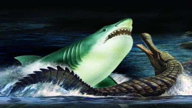 巨齿鲨的四个天敌排行榜（这几个天敌分别都是什么鱼,这几个里面谁最厉害）