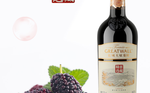 中国红酒品牌品质排行榜前十名（性价比超高不超过百元的有哪些）