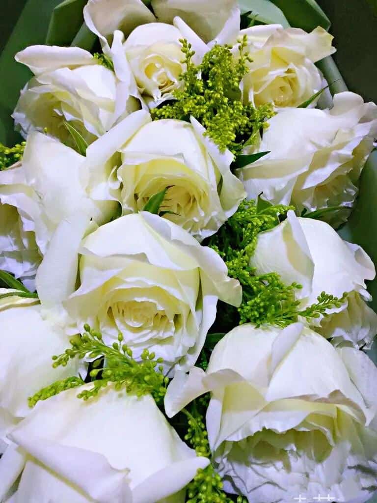 男朋友送黄玫瑰代表什么意思（黄,粉,白,红,蓝玫瑰的寓意和象征花） 29