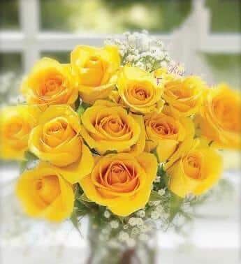 男朋友送黄玫瑰代表什么意思（黄,粉,白,红,蓝玫瑰的寓意和象征花） 31