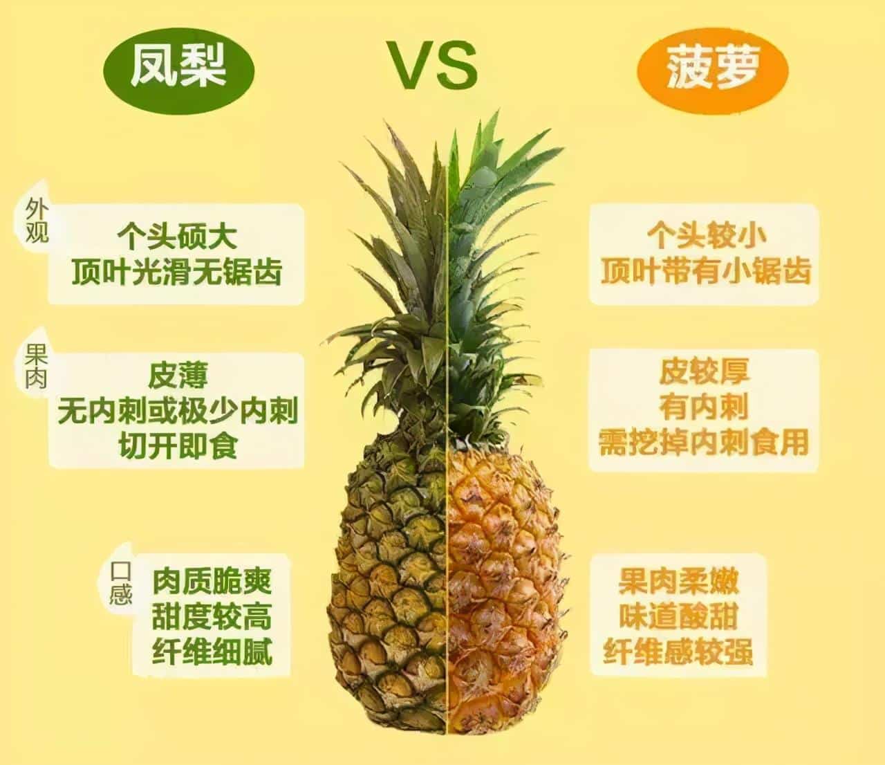 凤梨和菠萝的区别哪个更好吃（菠萝和凤梨哪个营养价值高） 3