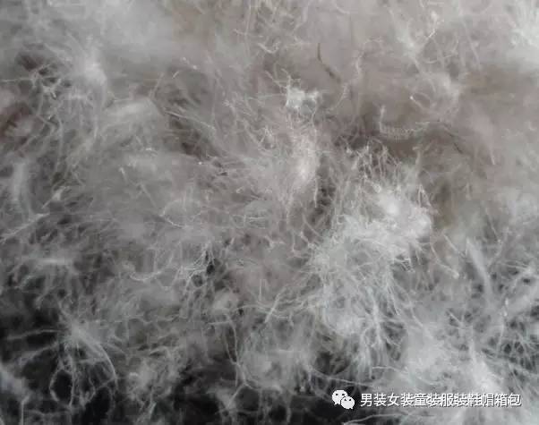 羽绒服灰鸭绒和白鸭绒哪个好暖和点（灰鸭绒和白鸭绒的区别是什么） 1