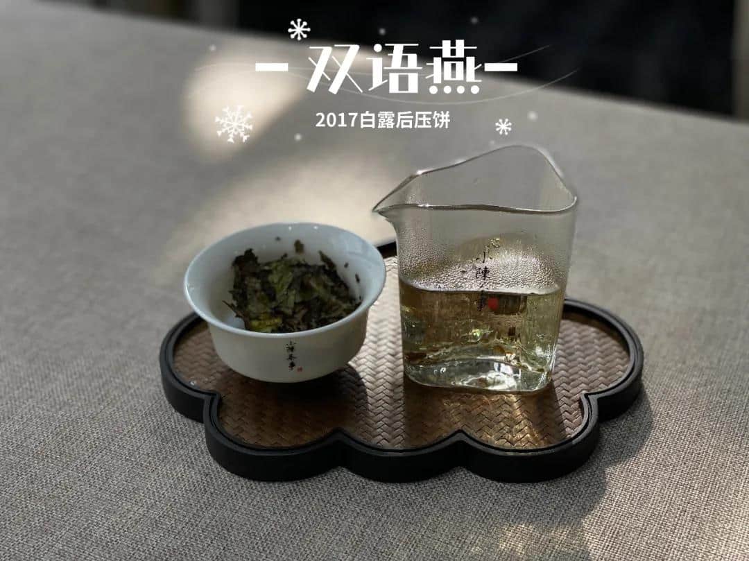 白茶属于什么茶的功效与作用（白茶和红茶的区别） 3