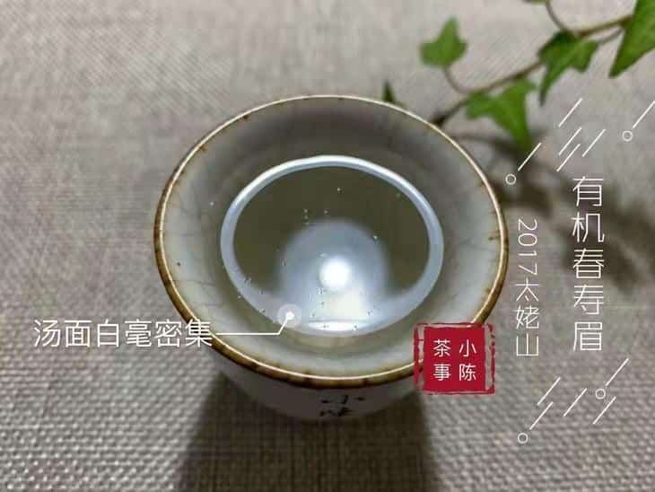 白茶属于什么茶的功效与作用（白茶和红茶的区别） 21