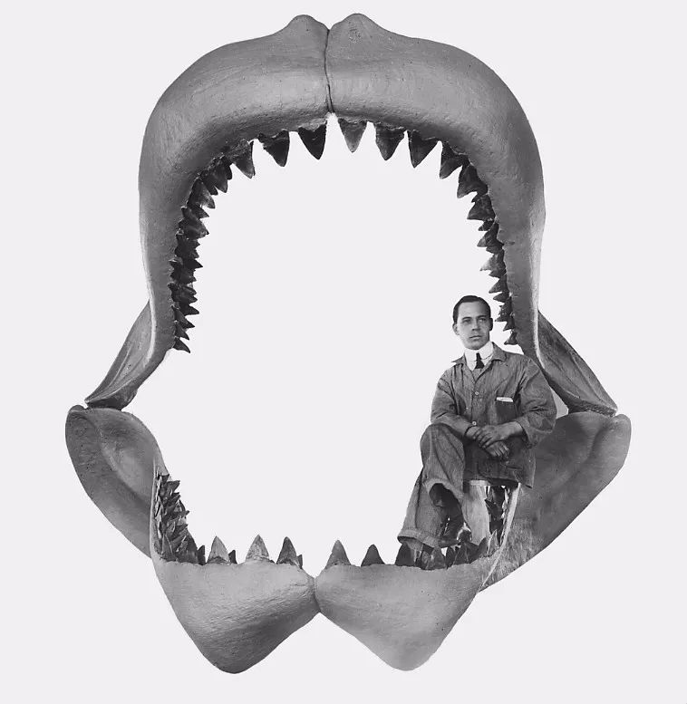 巨齿鲨还存在吗有没有灭绝（真正的海底深海巨兽还可能存在） 7
