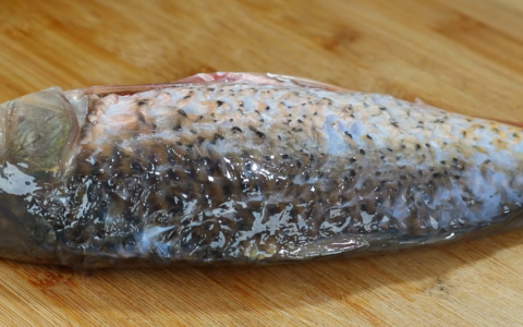 新鲜草鱼怎么做好吃家常做法大全（简单红烧清炖不腥肉嫩制作流程）
