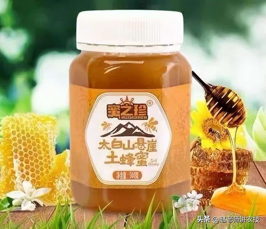 野生蜂蜜怎么保存最好（安全长期冷冻保存的正确家用小妙招） 5