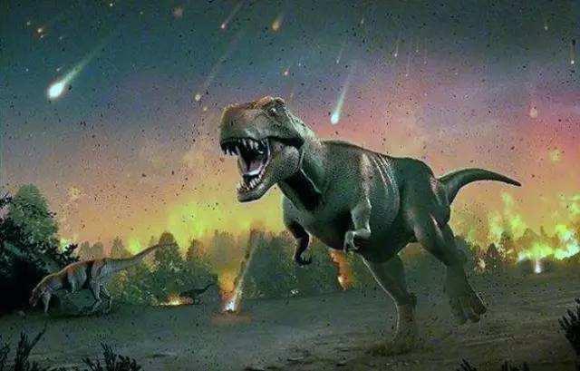 恐龙是怎么灭绝的原因（灭绝的真正原因以及结果解析） 15