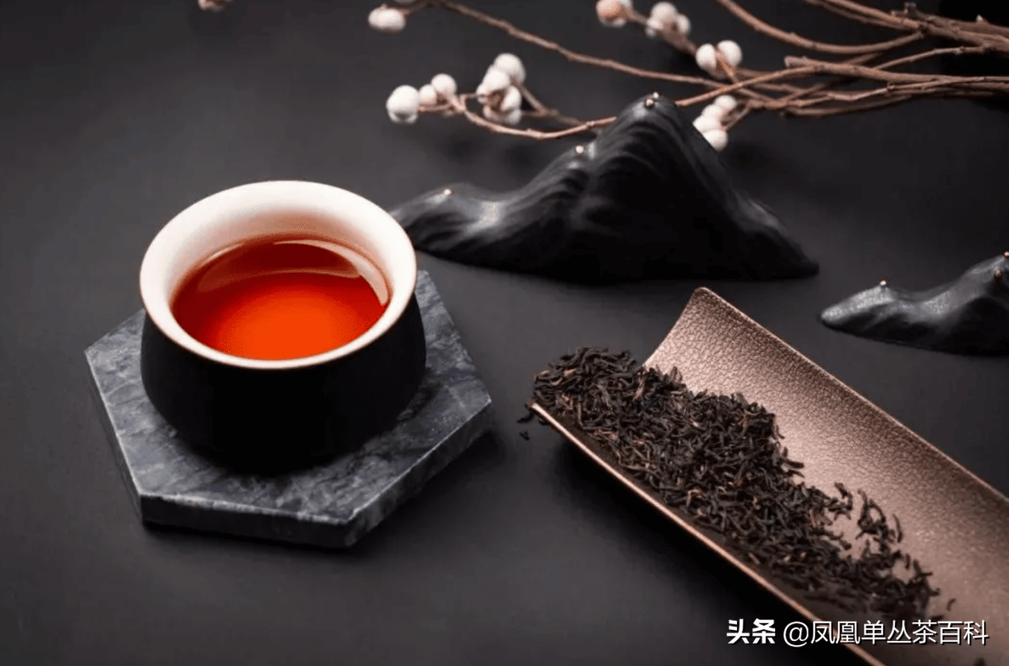 单丛茶是红茶还是绿茶（凤凰茶属于什么茶系及档次功效详解） 3
