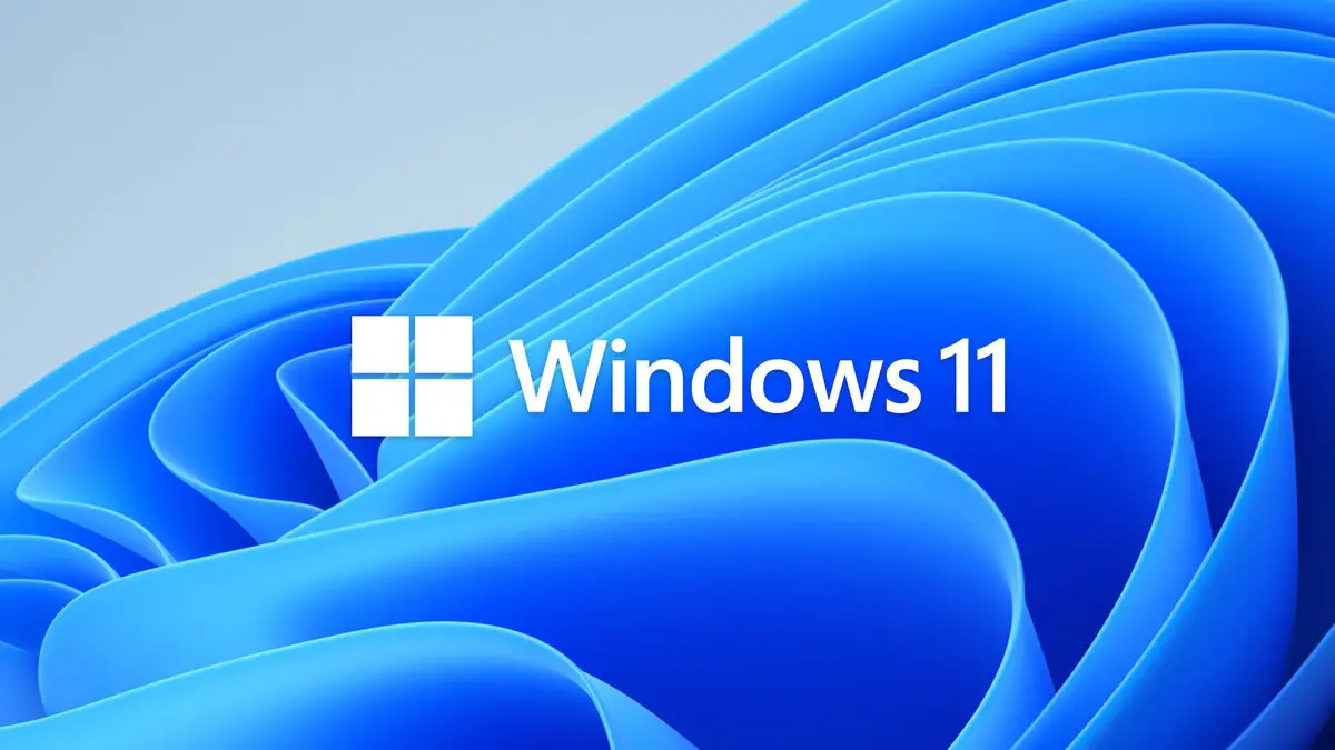 Windows 11 的真正原因源代码